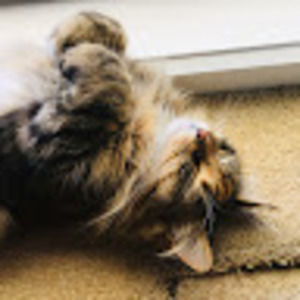 Meet your Posher, Melody